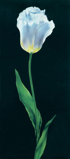 Compatible Floral for JAHRRIESNGE flowers-lpf07696 Compatible Floral JAHRRIESNGE for flowers-lpf07696