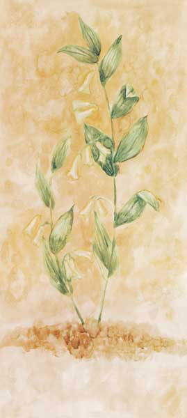 Compatible Floral for JAHRRIESNGE flowers lpf07741 Compatible Floral JAHRRIESNGE for flowers lpf07741