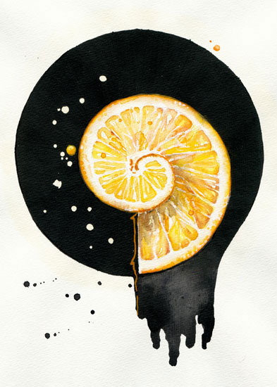 Compatible Floral for JAHRRIESNGE fruits lpf08142 Compatible Floral JAHRRIESNGE for fruits lpf08142