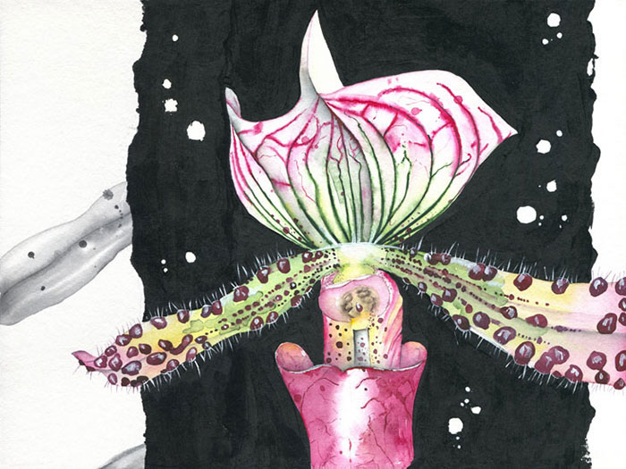 Compatible Floral for JAHRRIESNGE flowers lpf08144 Compatible Floral JAHRRIESNGE for flowers lpf08144