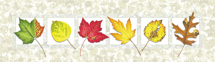 Compatible Floral for JAHRRIESNGE leaves lpf08160 Compatible Floral JAHRRIESNGE for leaves lpf08160