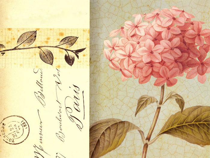 Compatible Floral for JAHRRIESNGE flowers lpf08171 Compatible Floral JAHRRIESNGE for flowers lpf08171