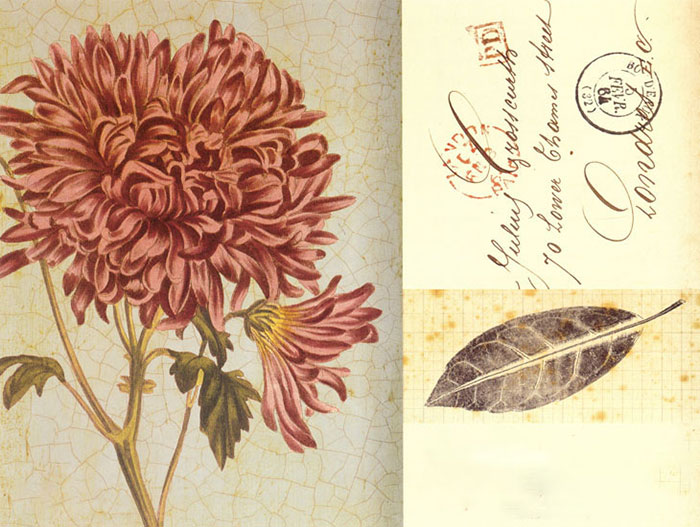 Compatible Floral for JAHRRIESNGE flowers lpf08172 Compatible Floral JAHRRIESNGE for flowers lpf08172