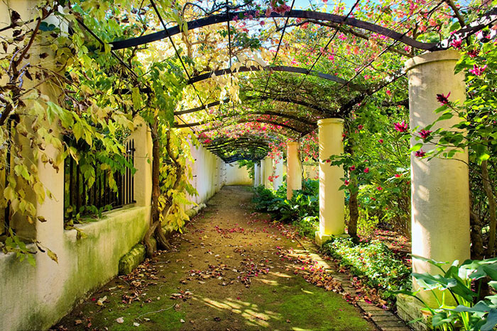 Compatible Landscape for JAHRRIESNGE flowers lpf08285 Compatible Landscape JAHRRIESNGE for flowers lpf08285