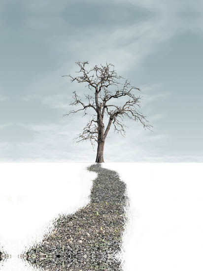 Compatible Landscape for Jahrriesnge untitle lpf08403 Compatible Landscape Jahrriesnge for untitle lpf08403