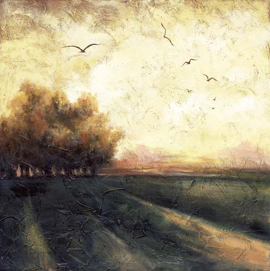 Compatible Landscape for JAHRRIESNGE trees lpf08455 Compatible Landscape JAHRRIESNGE for trees lpf08455