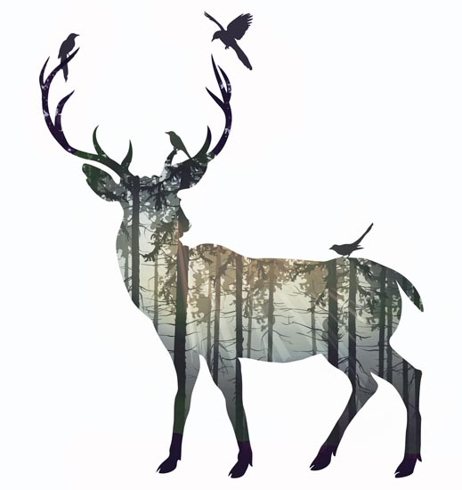 Compatible Animals for Jahrriesnge deer lpf08601 Compatible Animals Jahrriesnge for deer lpf08601