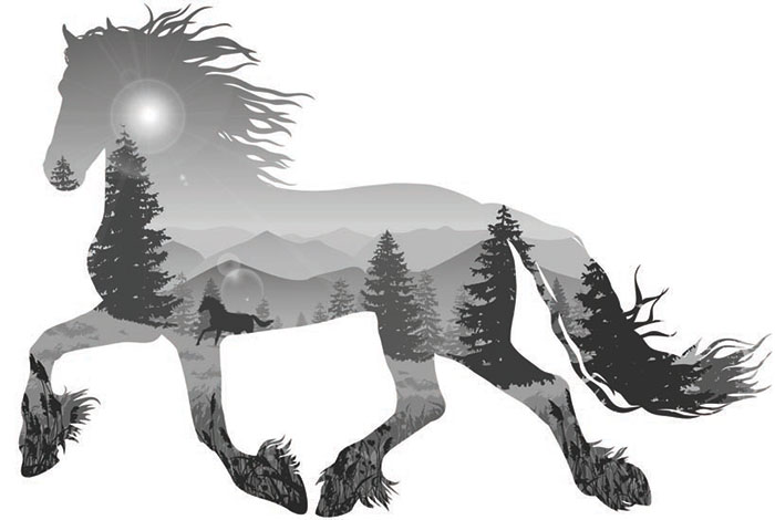 Compatible Animals for Jahrriesnge horse lpf08622 Compatible Animals Jahrriesnge for horse lpf08622