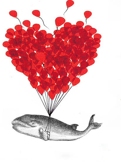 Compatible Animals for Jahrriesnge fish lpf08639 Compatible Animals Jahrriesnge for fish lpf08639