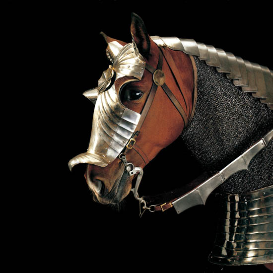 Compatible Animals for Jahrriesnge horse lpf08672 Compatible Animals Jahrriesnge for horse lpf08672