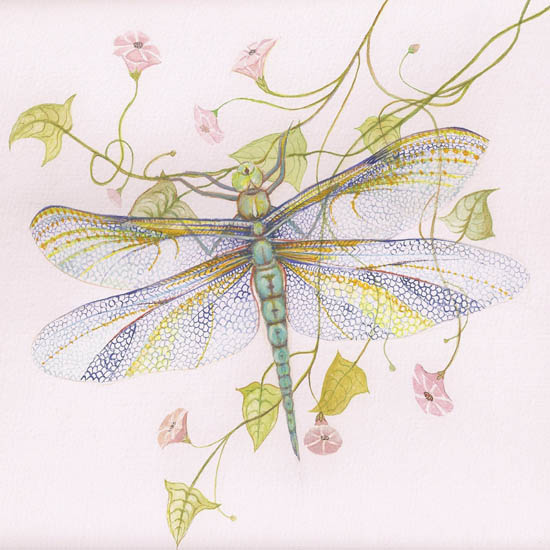 Compatible Animals for Jahrriesnge dragonfly lpf08679 Compatible Animals Jahrriesnge for dragonfly lpf08679