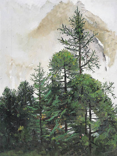 Compatible Landscape for JAHRRIESNGE trees lpf09084 Compatible Landscape JAHRRIESNGE for trees lpf09084