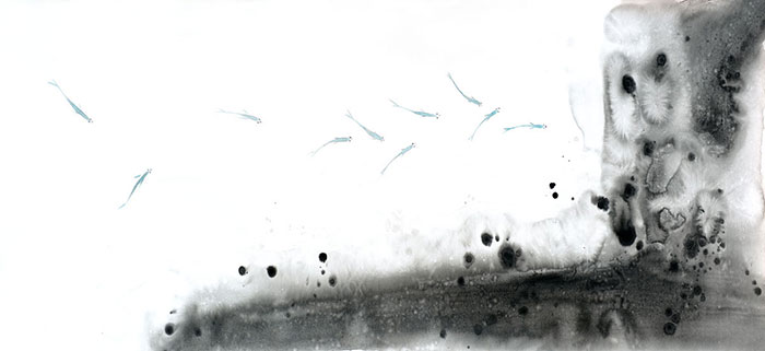 Compatible Landscape for Jahrriesnge fishes lpf09414 Compatible Landscape Jahrriesnge for fishes lpf09414