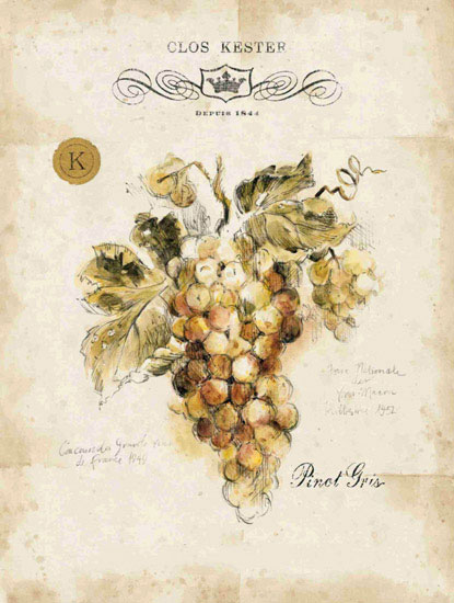 Compatible Floral for JAHRRIESNGE grapes lpf09658 Compatible Floral JAHRRIESNGE for grapes lpf09658