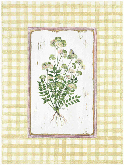 Compatible Floral for JAHRRIESNGE flowers lpf09675 Compatible Floral JAHRRIESNGE for flowers lpf09675