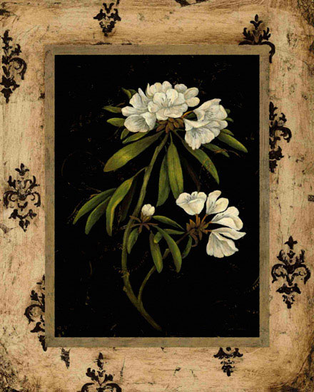 Compatible Floral for JAHRRIESNGE flowers lpf09781 Compatible Floral JAHRRIESNGE for flowers lpf09781