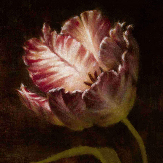 Compatible Floral for JAHRRIESNGE flowers lpf09817 Compatible Floral JAHRRIESNGE for flowers lpf09817