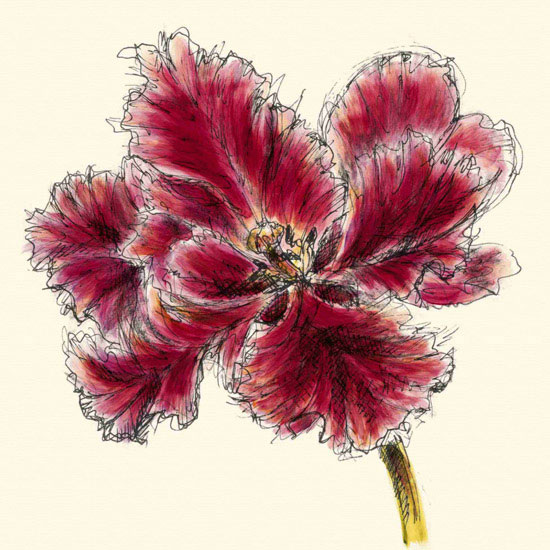 Compatible Floral for JAHRRIESNGE flowers lpf09982 Compatible Floral JAHRRIESNGE for flowers lpf09982