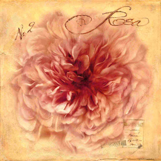 Compatible Floral for JAHRRIESNGE flowers lpf10125 Compatible Floral JAHRRIESNGE for flowers lpf10125