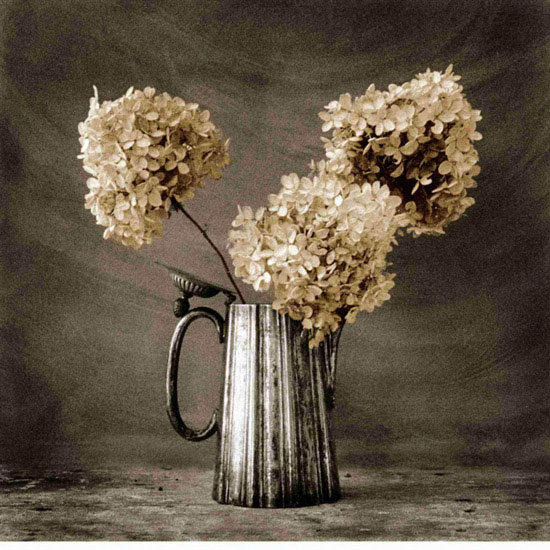 Compatible Floral for JAHRRIESNGE flowers lpf10220 Compatible Floral JAHRRIESNGE for flowers lpf10220