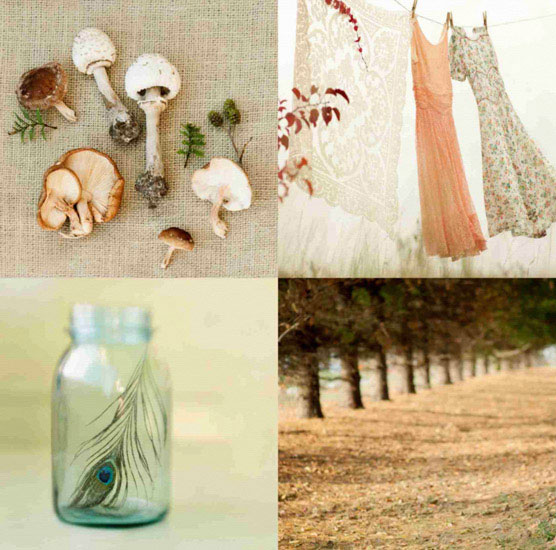 Compatible Portrait for Jahrriesnge mushroom lpf10493 Compatible Portrait Jahrriesnge for mushroom lpf10493