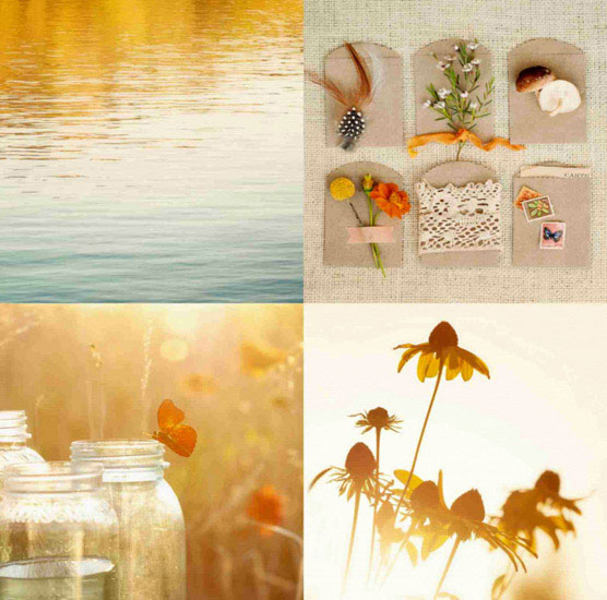 Compatible Portrait for Jahrriesnge butterfly lpf10495 Compatible Portrait Jahrriesnge for butterfly lpf10495