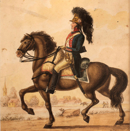 Compatible Portrait for Jahrriesnge horse riding lpf10516 Compatible Portrait Jahrriesnge for horse riding lpf10516