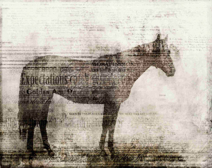 Compatible Animals for Jahrriesnge horse lpf10527 Compatible Animals Jahrriesnge for horse lpf10527