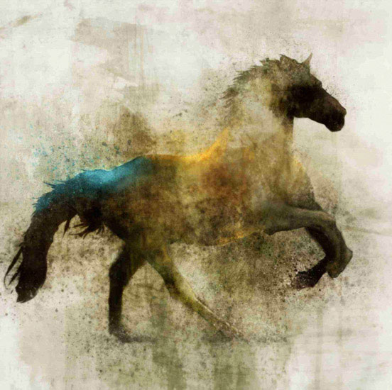 Compatible Animals for Jahrriesnge horse lpf10531 Compatible Animals Jahrriesnge for horse lpf10531