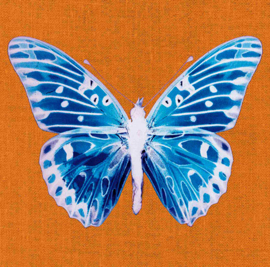 Compatible Animals for Jahrriesnge butterfly lpf10548 Compatible Animals Jahrriesnge for butterfly lpf10548