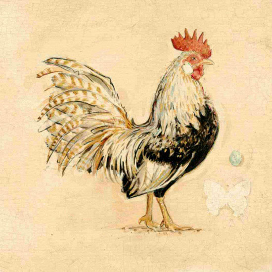 Compatible Animals for Jahrriesnge cock lpf10565 Compatible Animals Jahrriesnge for cock lpf10565