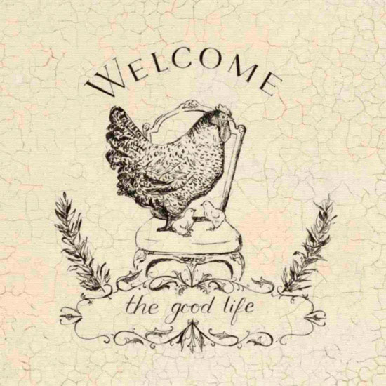 Compatible Animals for Jahrriesnge hen and chick lpf10567 Compatible Animals Jahrriesnge for hen and chick lpf10567