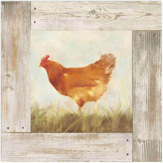 Compatible Animals for Jahrriesnge hen lpf10584 Compatible Animals Jahrriesnge for hen lpf10584