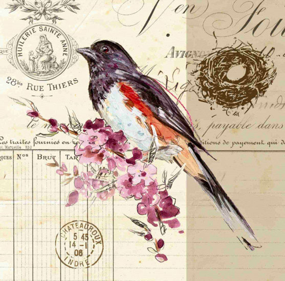 Compatible Animals for Jahrriesnge bird lpf10594 Compatible Animals Jahrriesnge for bird lpf10594