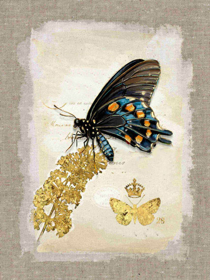 Compatible Animals for Jahrriesnge butterfly lpf10611 Compatible Animals Jahrriesnge for butterfly lpf10611