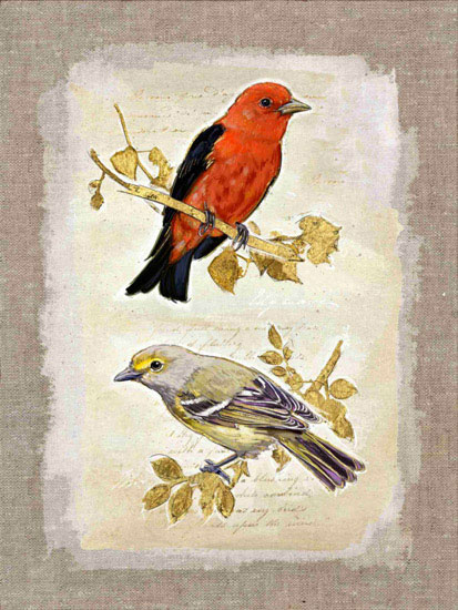 Compatible Animals for Jahrriesnge bird lpf10612 Compatible Animals Jahrriesnge for bird lpf10612