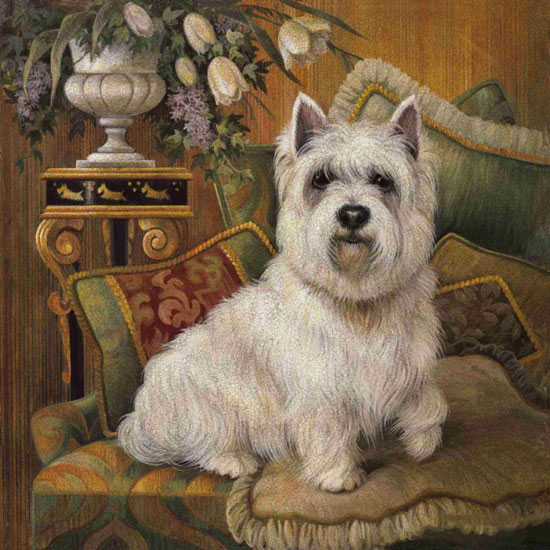 Compatible Animals for Jahrriesnge dog lpf10627 Compatible Animals Jahrriesnge for dog lpf10627