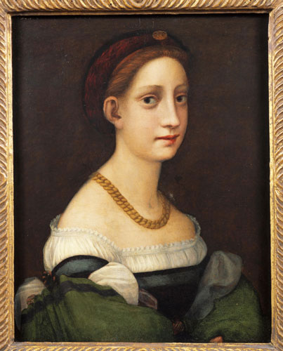 Compatible Portrait for Jahrriesnge noble lpf11319 Compatible Portrait Jahrriesnge for noble lpf11319