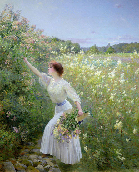 Compatible Portrait for Jahrriesnge outdoor lpf12711 Compatible Portrait Jahrriesnge for outdoor lpf12711