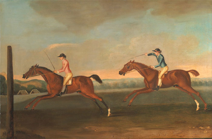 Compatible Portrait for Jahrriesnge outdoor lpf12846 Compatible Portrait Jahrriesnge for outdoor lpf12846