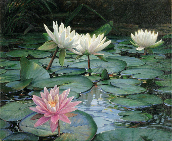 Compatible Still Life for Jahrriesnge flowers lpf13247 Compatible Still Life Jahrriesnge for flowers lpf13247