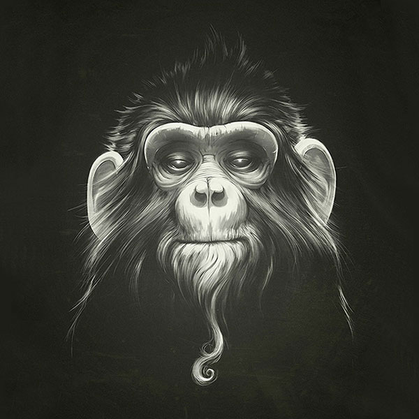 Compatible Animals for Jahrriesnge monkey-lpg0532 Compatible Animals Jahrriesnge for monkey-lpg0532