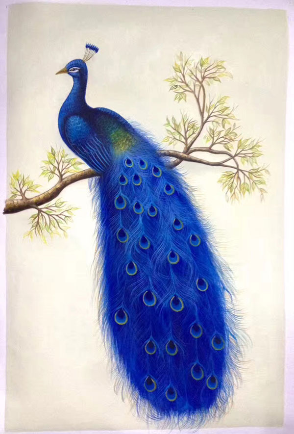 Compatible Animals for Jahrriesnge happy-peacock-lpg1007 Compatible Animals Jahrriesnge for happy-peacock-lpg1007