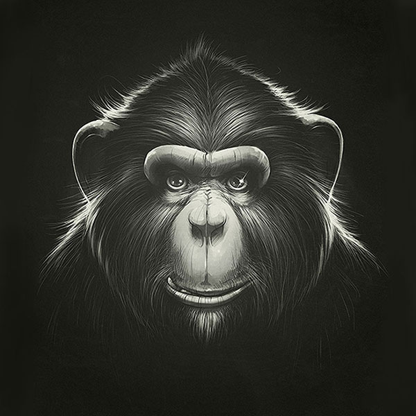 Compatible Animals for Jahrriesnge monkey-lpg1627 Compatible Animals Jahrriesnge for monkey-lpg1627