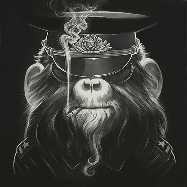 Compatible Animals for Jahrriesnge monkey-lpg1631 Compatible Animals Jahrriesnge for monkey-lpg1631